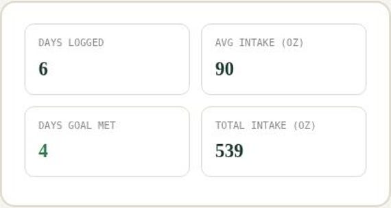 Water Intake & Hydration Tracker Spreadsheet — Google Sheets & Excel spreadsheet by ToolWise Digital — view 5