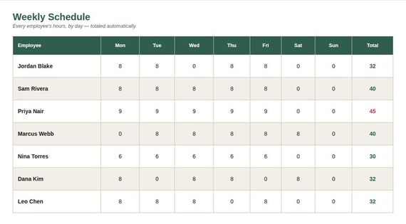 Employee Work Schedule Template — Google Sheets & Excel spreadsheet by ToolWise Digital — view 4