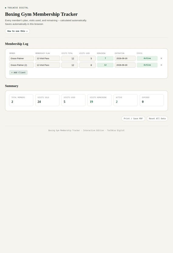 Boxing Gym Membership Tracker — Google Sheets & Excel spreadsheet by ToolWise Digital — view 3
