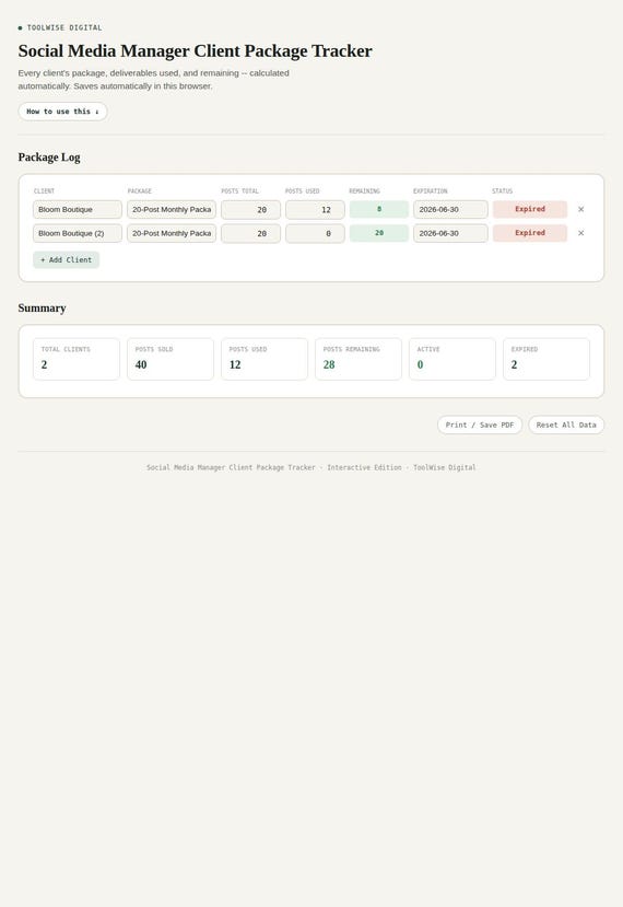 Social Media Manager Client Package Tracker — Google Sheets & Excel spreadsheet by ToolWise Digital — view 3