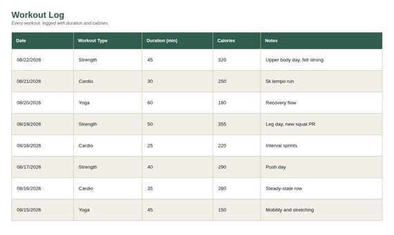 Fitness Progress and Workout Tracker — Google Sheets & Excel spreadsheet by ToolWise Digital — view 4