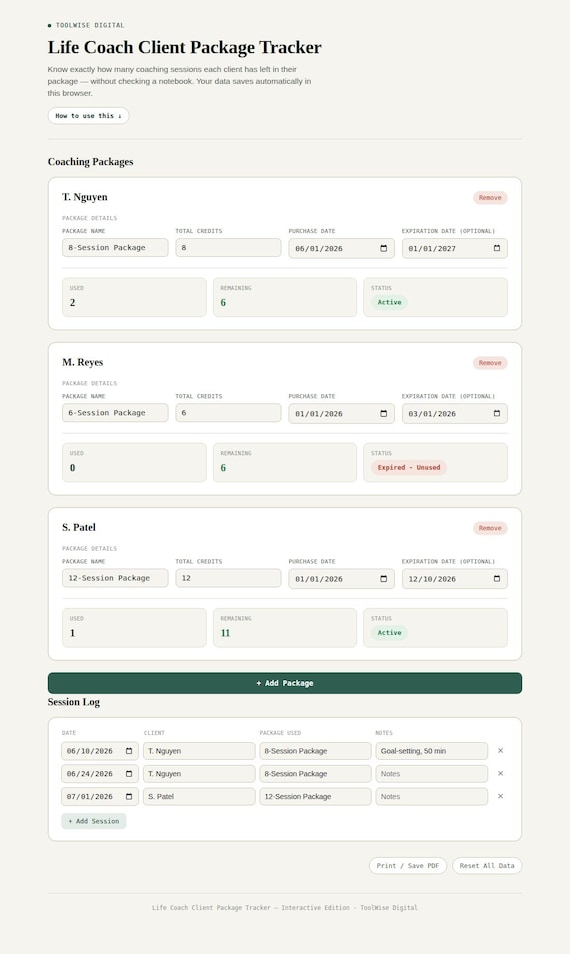Life Coach Client Package Tracker — Google Sheets & Excel spreadsheet by ToolWise Digital — view 3