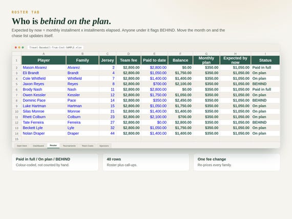 Travel Baseball Budget Spreadsheet — Google Sheets & Excel spreadsheet by ToolWise Digital — view 5