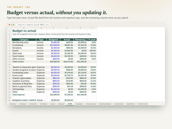 Treasurer Spreadsheet with Bank Reconciliation — Google Sheets & Excel spreadsheet by ToolWise Digital — view 8