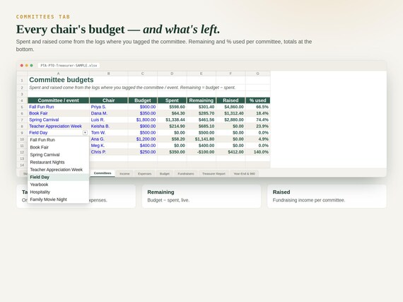 PTA / PTO Treasurer Spreadsheet — Google Sheets & Excel spreadsheet by ToolWise Digital — view 2