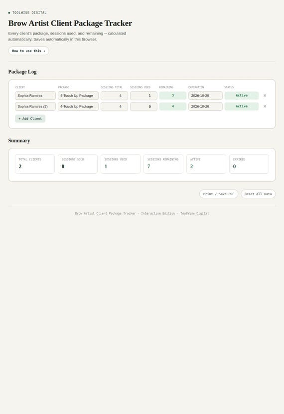 Brow Artist Client Package Tracker — Google Sheets & Excel spreadsheet by ToolWise Digital — view 3