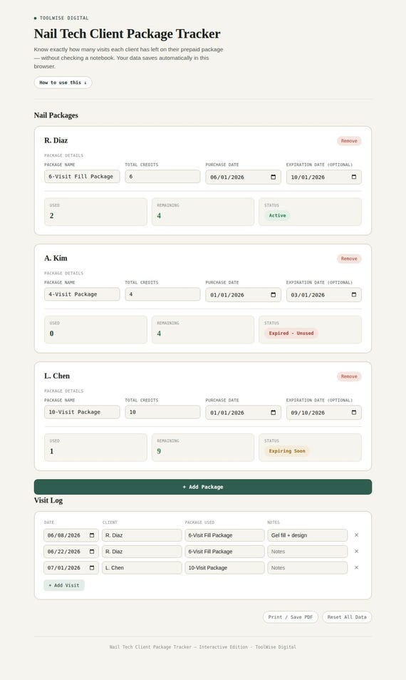 Nail Tech Client Package Tracker — Google Sheets & Excel spreadsheet by ToolWise Digital — view 3