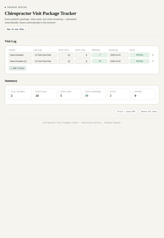 Chiropractor Visit Package Tracker — Google Sheets & Excel spreadsheet by ToolWise Digital — view 3