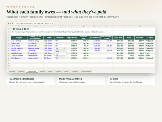 Youth Sports Team & Booster Club Treasurer — Google Sheets & Excel spreadsheet by ToolWise Digital — view 2