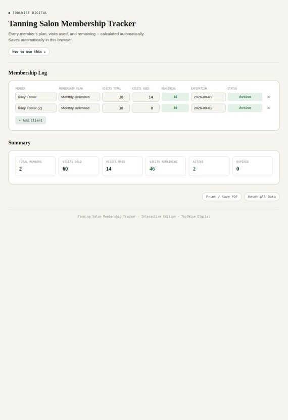 Tanning Salon Membership Tracker — Google Sheets & Excel spreadsheet by ToolWise Digital — view 3