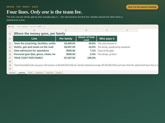 Travel Baseball Budget Spreadsheet — Google Sheets & Excel spreadsheet by ToolWise Digital — view 3