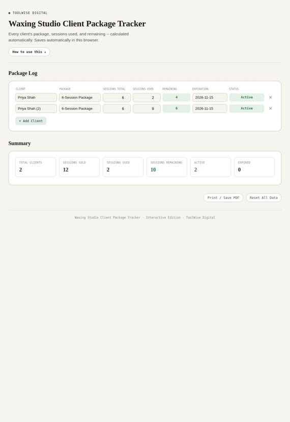 Waxing Studio Client Package Tracker — Google Sheets & Excel spreadsheet by ToolWise Digital — view 3