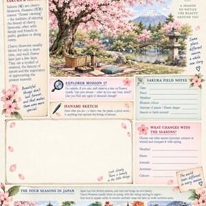 Pode incluir: Uma p&aacute;gina educativa intitulada Cherry Blossom Season com uma ilustra&ccedil;&atilde;o central de uma cerejeira em flor perto de um lago e do Monte Fuji. O layout inclui se&ccedil;&otilde;es de texto, um quadro de esbo&ccedil;o vazio e quatro pequenas imagens de paisagens.