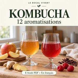 Puede incluir: Un libro electrónico en PDF titulado LE BOCAL VIVANT KOMBUCHA 12 aromatisations que muestra dos copas con tallo llenas de kombucha ámbar y roja, acompañadas de manzanas frescas, rodajas de jengibre, frambuesas y flores de hibisco secas.