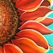 Daniella Sunflower