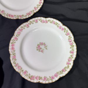 May include: Two white porcelain plates with a scalloped edge and gold trim. Each plate features a border of pink roses and green leaves, with a small cluster of roses in the center.