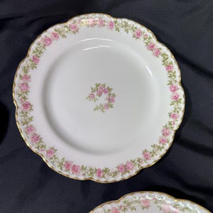 May include: White porcelain plate with a scalloped edge, adorned with a delicate pink rose garland around the rim and a small rose cluster in the center. The plate has a gold trim.
