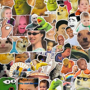Op de afbeelding: Een verzameling diverse vinylstickers met verschillende internetmemes, waaronder afbeeldingen van Shrek, Kermit de Kikker, Doge en diverse menselijke gezichten met humoristische uitdrukkingen. De stickers zijn in een dichte collage op elkaar geplaatst.