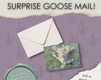 VERRASSENDE GANZENPOST! | Een verrassingspakket met goodies, geïnspireerd op The Hunger Games, samengesteld door HaymitchsGeese