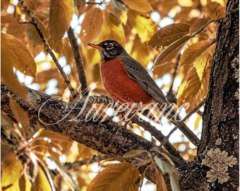 Lámina decorativa de pájaros para imprimir, fotografía de otoño para descargar digitalmente, lámina de naturaleza boscosa de 8x12 pulgadas.