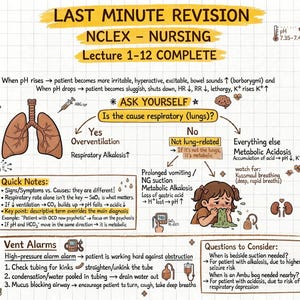 May include: An educational study guide titled LAST MINUTE REVISION NCLEX - NURSING Lecture 1-12 COMPLETE. The document features hand-drawn illustrations of lungs, a brain, and a person vomiting, alongside text explaining respiratory and metabolic imbalances.