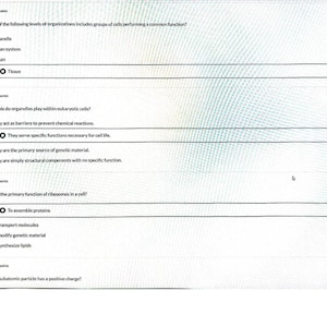Könnte beinhalten: Eine digitale Quiz-Oberfläche auf weißem Hintergrund mit vier Multiple-Choice-Fragen zu Biologie und Physik. Der Text enthält Fragen zu Organisationsebenen, Organellenfunktionen, Ribosomenaufgaben und subatomaren Teilchen.