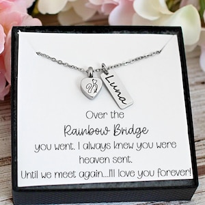 Urn Necklace for Cat Ashes - Cat Urn Pendant for Ashes - Heart Cremation Jewelry - Memorial Urn for Pet Loss Gift - Rainbow Bridge Keepsake