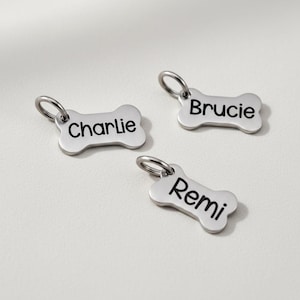 May include: Three silver-colored, bone-shaped pet tags with black text. Each tag has a small loop for attachment. The names "Charlie", "Brucie", and "Remi" are printed on the tags.