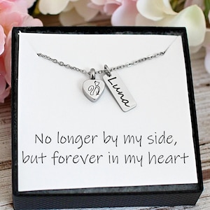Cat urn necklace Loss of Cat memorial Jewelry Pet sympathy cat Memorial Gift Cat Loss Gift for loss of a cat Rainbow Bridge necklace
