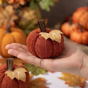 Calabaza tejida, 9 cm, decoración de tela para otoño / adorno rústico de tallo y hoja para mesa