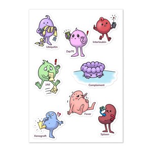 Immunology Sticker Sheet, 9 Glossy Molecule Stickers, Spleen Designs, Biology Student Gift, Laptop and Notebook Decor