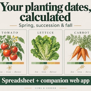Puede incluir: Un calendario de siembra titulado Your planting dates, calculated. Incluye ilustraciones de tomates, lechugas y zanahorias con barras de colores para las fases de siembra, crecimiento y cosecha. El texto inferior dice Spreadsheet + companion web app.