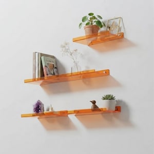 May include: Three translucent orange acrylic wall shelves mounted in a staggered arrangement. The shelves hold various decorative items including a potted plant, books, a glass vase with dried flowers, a purple crystal, and a small bird figurine.