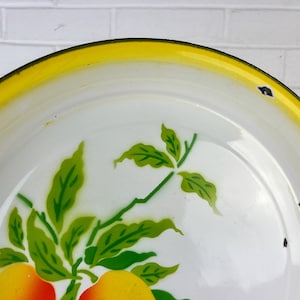 Puede incluir: Un plato de esmalte blanco con un borde amarillo y un dise&ntilde;o pintado de hojas verdes y frutas amarillas y naranjas.