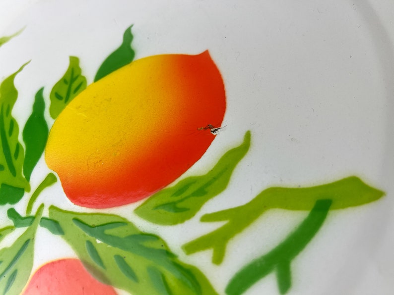 Puede incluir: Un plato de cer&aacute;mica blanco con un dise&ntilde;o pintado de hojas verdes y dos naranjas. Una naranja es amarilla y naranja, y la otra es rosa y naranja.