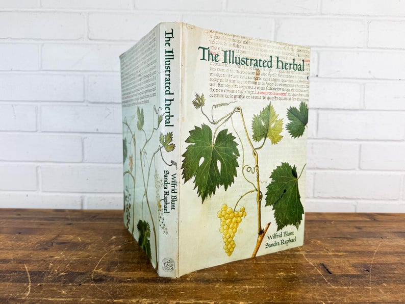Sandra Raphael 1979 the Illustrated Herbal Book | Wilfrid Blunt Sandra Raphael ...