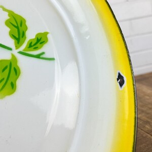 Puede incluir: Un plato de esmalte blanco con un borde amarillo y un dise&ntilde;o de hojas verdes. El plato tiene un peque&ntilde;o astillado negro en el borde.