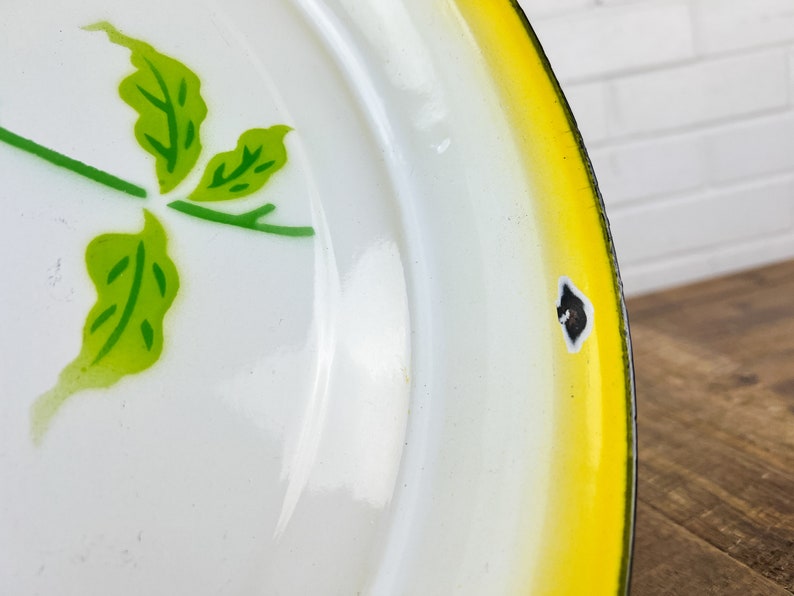 Puede incluir: Un plato de esmalte blanco con un borde amarillo y un dise&ntilde;o de hojas verdes. El plato tiene un peque&ntilde;o astillado negro en el borde.