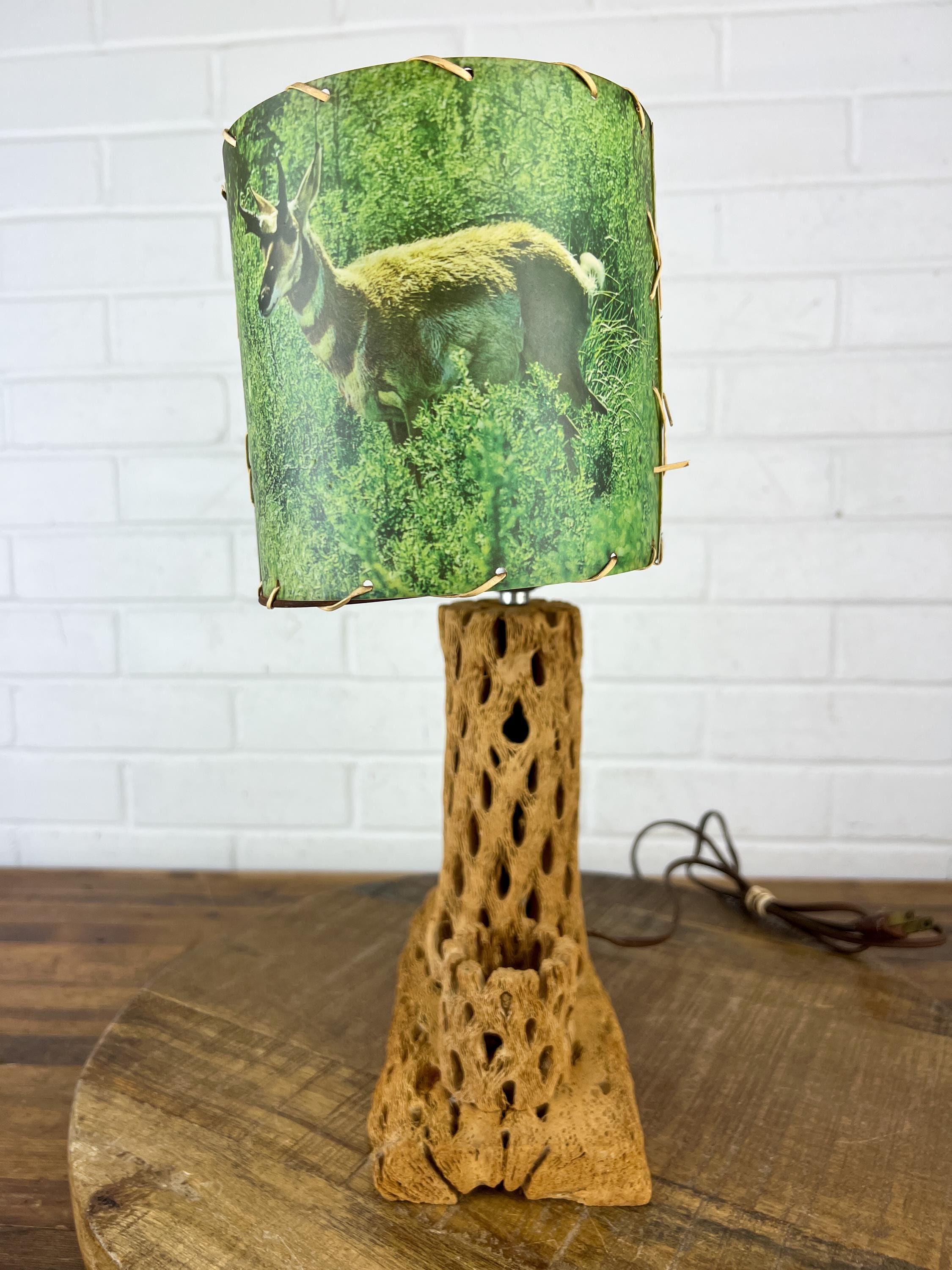 Mid Century Cholla Cactus Lamp That Plugs in Fishing Decor - Etsy