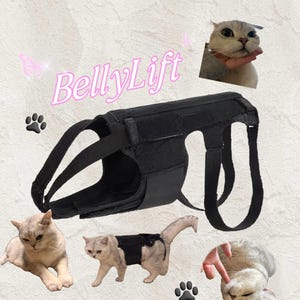 May include: A black pet support harness labeled BellyLift, featuring adjustable straps and a central body wrap. The harness is shown in isolation and worn by a light-colored cat, with additional imagery of the cat and paw print graphics.