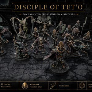 Può includere: Una collezione di 16 miniature non dipinte e pre-assemblate intitolata Disciple of Tet'o. Il set presenta varie figure umanoidi e creature con armature, armi e tentacoli dettagliati, tutte su basi circolari per giochi da tavolo.