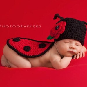 Modello all'uncinetto per principianti per supporto fotografico per coccinella o coccinella o regalo per baby shower