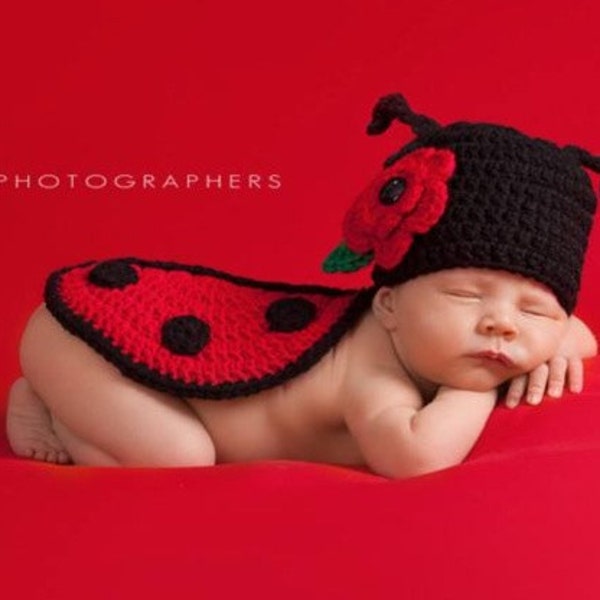 Beginner's Crochet Pattern for Ladybug or Ladybird Newborn Photography Prop or Baby Shower Gift