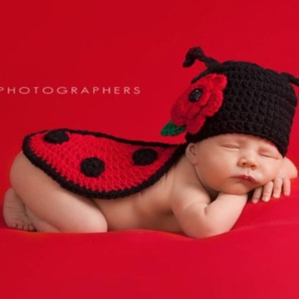 Ladybug Crochet Photo Prop, Ladybug Costume, Ladybug Crochet Photo Prop, Ladybird Costume Halloween, Halloween Photo, Photo Halloween