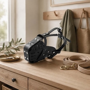 May include: A black leather dog muzzle featuring silver-toned metal rivets and adjustable buckle straps, accompanied by a tan fabric lead with a brass-coloured metal swivel snap hook, resting on a wooden surface.