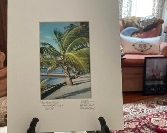 Belize Palm Photo Matted and Signed Photo