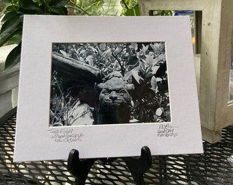 Gargoyle Photo Matted and Signed Black and White Art