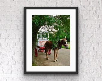 New Orleans Roman Candy Cart Photo