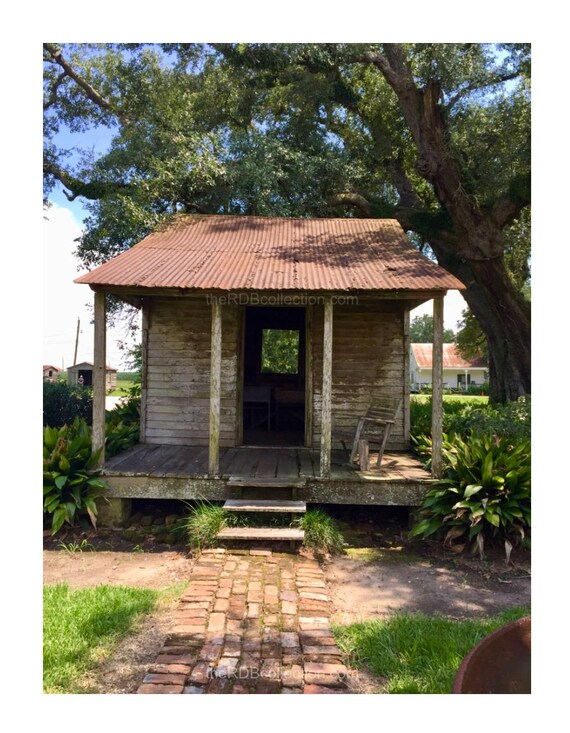 Plantation Schoolhouse Photo Sugar Cane Pots under an Oak Etsy