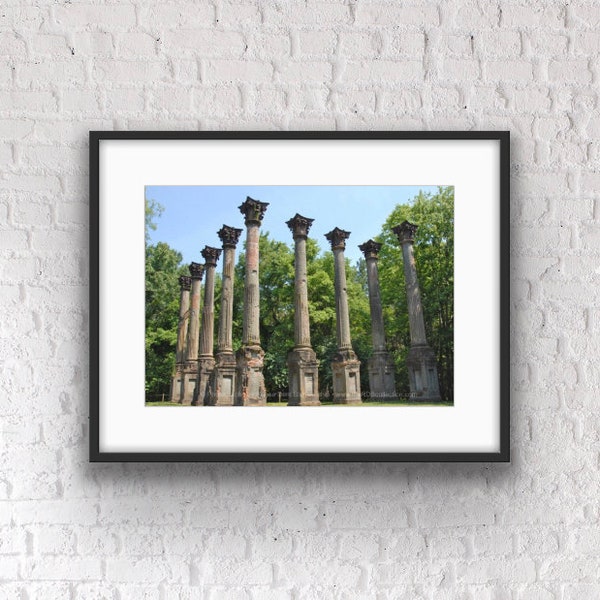 Windsor Ruins Landscape Photo - Historic Mississippi Home - Antebellum Mansion Columns- theRDBcollection - Renee Dent Blankenship